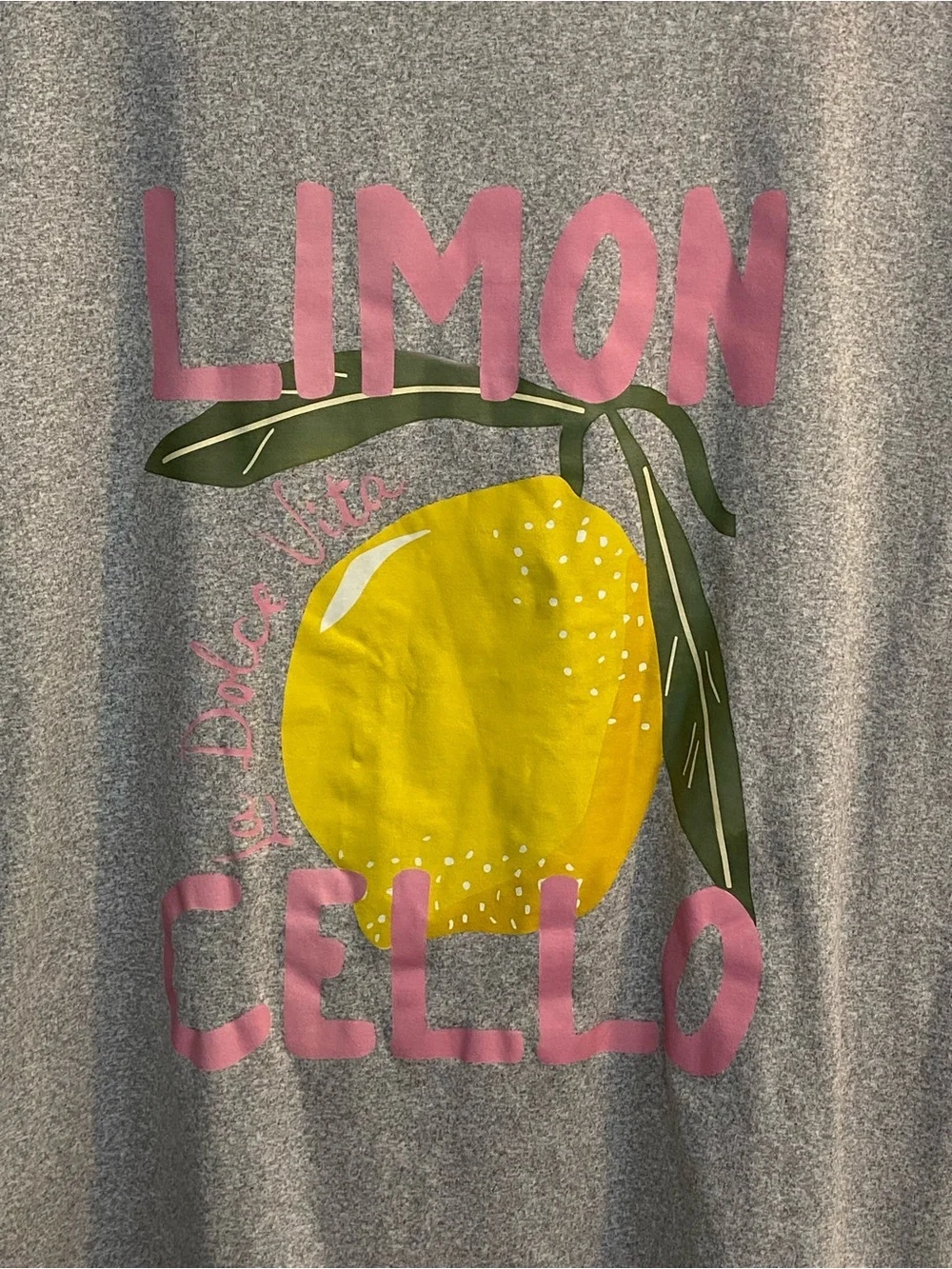 Gray Crewneck T-Shirt with Graphic, reads Limicello La Dolce Vita, size 2X